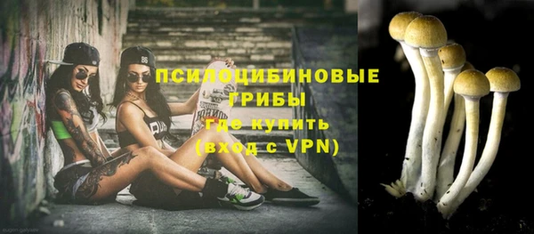 трава Богданович
