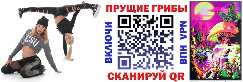 Галлюциногенные грибы Psilocybe  Купить  Воркута 